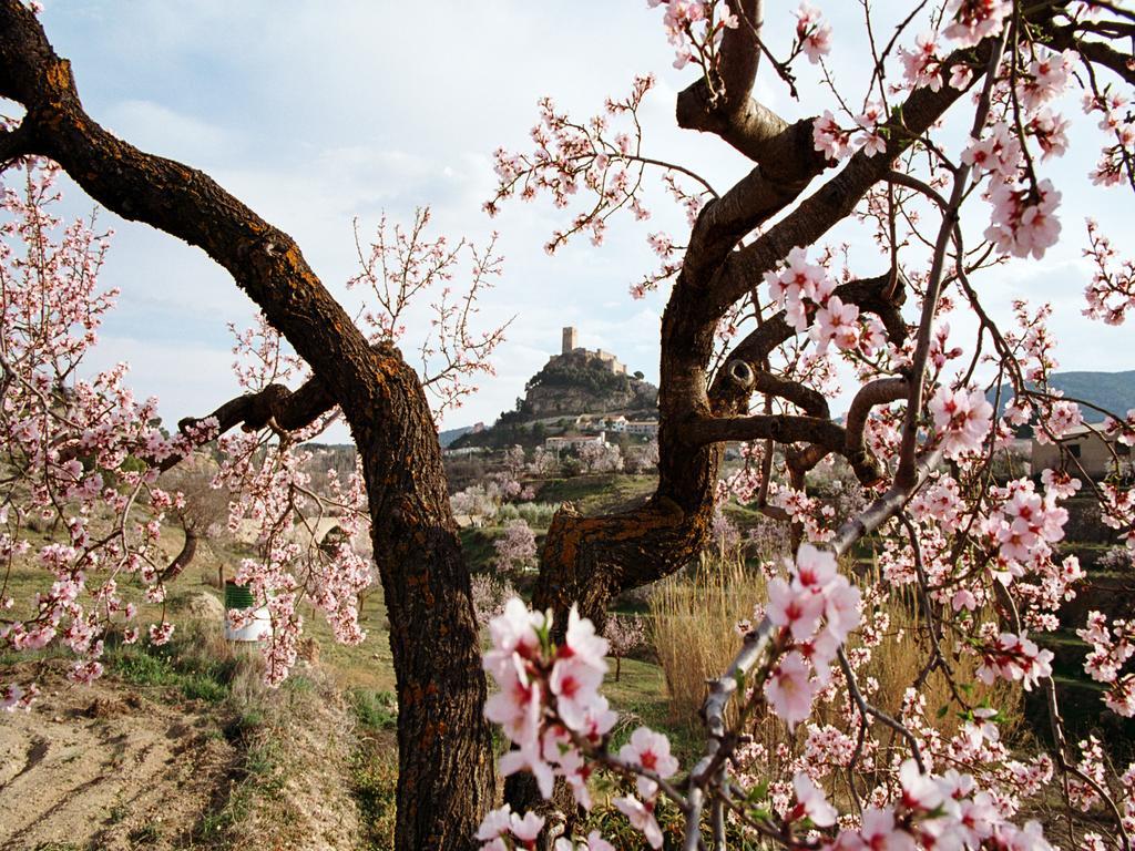 Casa Rural Sant Antoni بيار المظهر الخارجي الصورة